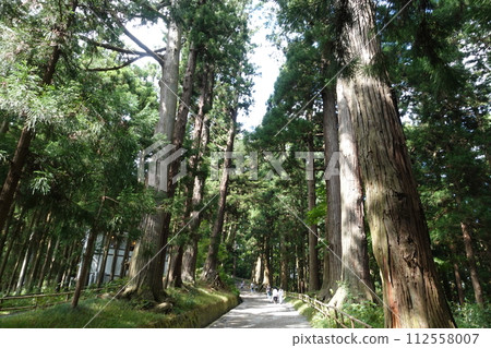 Chusenji approaching road Chusenji approaching road 112558007