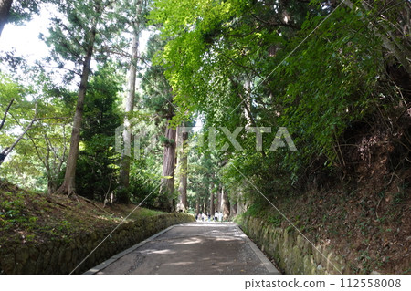 Chusenji approaching road 112558008