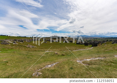 紐西蘭大象岩 紐西蘭大象岩 112558051