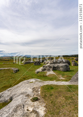 紐西蘭大象岩 紐西蘭大象岩 112558071