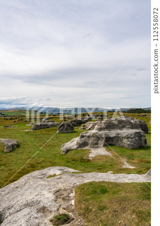 紐西蘭大象岩 紐西蘭大象岩 112558072