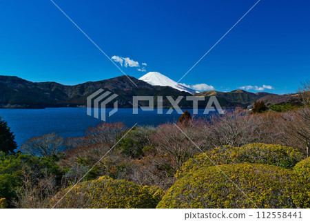 從神奈川縣恩賜箱根公園眺望蘆之湖和富士山的風景 112558441