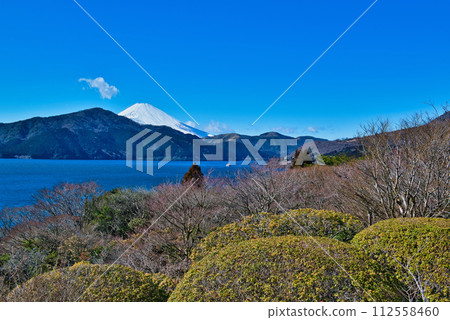從神奈川縣恩賜箱根公園眺望蘆之湖和富士山的風景 從神奈川縣恩賜箱根公園眺望蘆之湖和富士山的風景 112558460