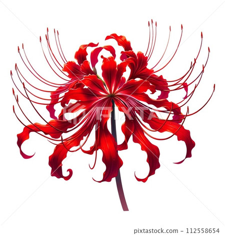 Image of red spider lily generated by AI 112558654