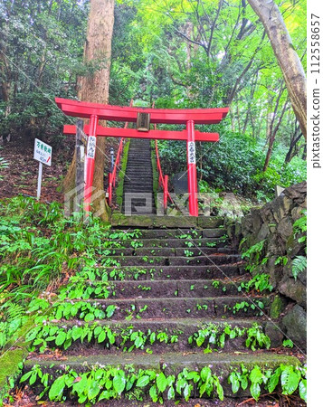 Mizusawa Kanzeon stairs Mizusawa Kanzeon stairs 112558657