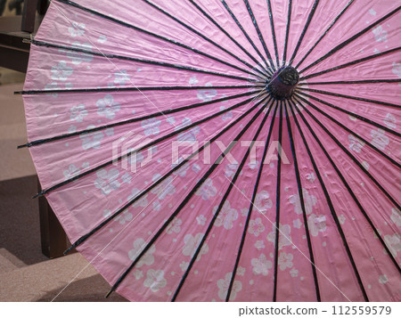 Pink Japanese umbrella with cherry blossom blizzard pattern Pink Japanese umbrella with cherry blossom blizzard pattern 112559579