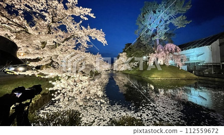 Cherry blossoms illuminated at night at Hirosaki Castle 112559672