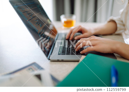 Close-up of woman's hands on a laptop keyboard, typing on modern laptop at home. Freelancing concept Close-up of woman's hands on a laptop keyboard, typing on modern laptop at home. Freelancing concept 112559799