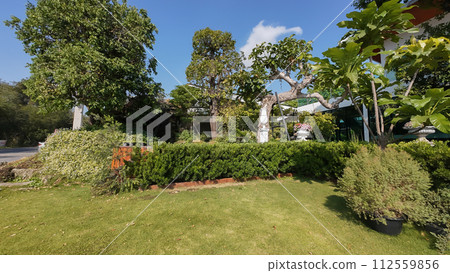 Bush, Yard - Grounds, Public Park, Formal Garden, Tree 112559856