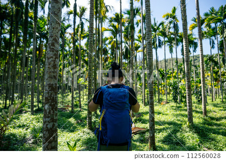 Hiking in tropical forest mountain 112560028