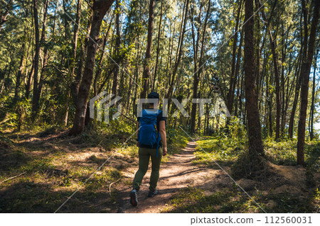 Hiking in tropical forest mountain Hiking in tropical forest mountain 112560031