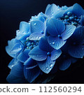 Hydrangea with petals close up 112560294