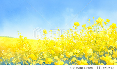 Abstract watercolor illustration background of blue sky and rape field 112560658