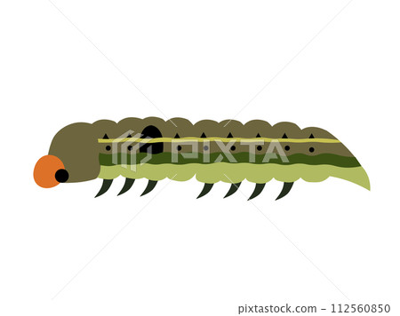 斜紋夜蛾幼蟲 斜紋夜蛾幼蟲 112560850