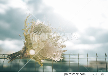 天空和乾燥花 112561383