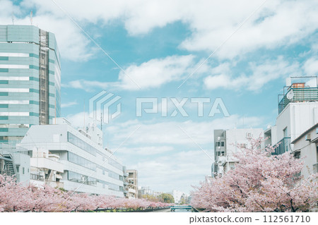 Oyokogawa River on the east side of Kiba Park where Kawazu cherry blossoms bloom in spring (March) Koto-ku, Tokyo 112561710