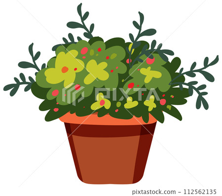 Blooming Flowers in Terracotta Pot 112562135