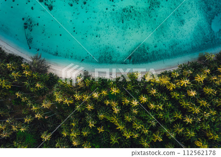 Aerial view island and coconut groves on the island in the morning Aerial view island and coconut groves on the island in the morning 112562178
