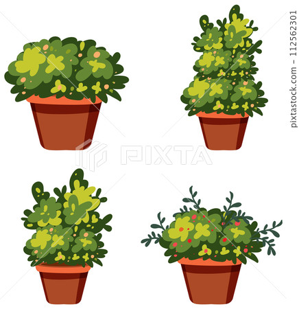Assorted Potted Plants Collection Assorted Potted Plants Collection 112562301