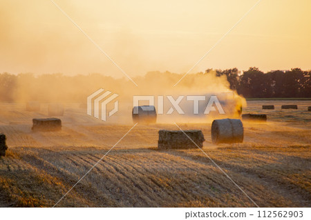 Combine harvester pressing straw from field into bales driving field on sunny summer evening. Field with bales of pressed wheat. Lots of dust on field. Agricultural agro industrial harvesting works 112562903