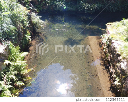 A view of the sunlight shining into the clear water A view of the sunlight shining into the clear water 112563211