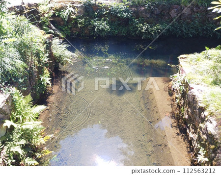 A view of the sunlight shining into the clear water A view of the sunlight shining into the clear water 112563212