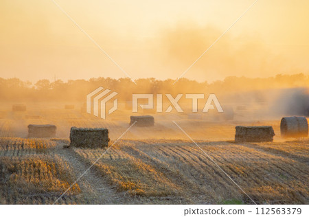 Round square bales of pressed dry wheat straw on field after harvest. Summer sunny evening sunset dawn. Field bale pressed wheat. Dust. Agro industrial harvesting works. Agriculture agrarian landscape Round square bales of pressed dry wheat straw on field after harvest. Summer sunny evening sunset dawn. Field bale pressed wheat. Dust. Agro industrial harvesting works. Agriculture agrarian landscape 112563379
