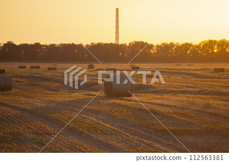 Round square bales of pressed dry wheat straw on field after harvest. Summer sunny evening, sunset dawn. Field bales of pressed wheat. Agro industrial harvesting works. Agriculture agrarian landscape 112563381