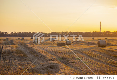 Round square bales of pressed dry wheat straw on field after harvest. Summer sunny evening, sunset dawn. Field bales of pressed wheat. Agro industrial harvesting works. Agriculture agrarian landscape Round square bales of pressed dry wheat straw on field after harvest. Summer sunny evening, sunset dawn. Field bales of pressed wheat. Agro industrial harvesting works. Agriculture agrarian landscape 112563394