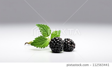 AI-generated content. Blackberries on a pristine white background. 112563441