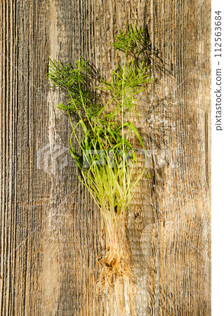 Top view of fennel sprouts on wooden background 112563684
