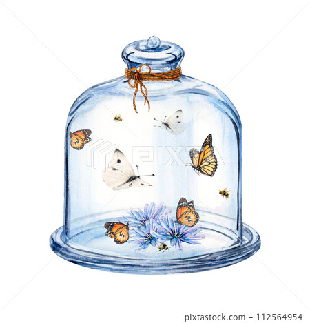 Cloche glass butterfly flower watercolor drawing dome. Glassware dish tray high lid. Summer insect bouquet. Spring bees. Transparent aquarelle isolated white background. Clear clean utensil tableware Cloche glass butterfly flower watercolor drawing dome. Glassware dish tray high lid. Summer insect bouquet. Spring bees. Transparent aquarelle isolated white background. Clear clean utensil tableware 112564954
