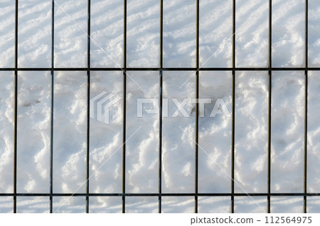 Standing in Snow Behind Fence, while white flakes gently fall around it. Standing in Snow Behind Fence, while white flakes gently fall around it. 112564975
