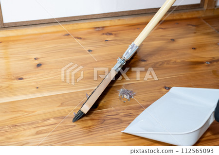 A scene where garbage collected using a free broom is placed on a dustpan 112565093