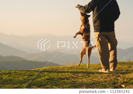 nature traveling with solo man play with dog and see sunrise with layer of mountain 112565242
