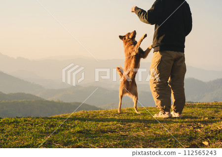 nature traveling with solo man play with dog and see sunrise with layer of mountain nature traveling with solo man play with dog and see sunrise with layer of mountain 112565243