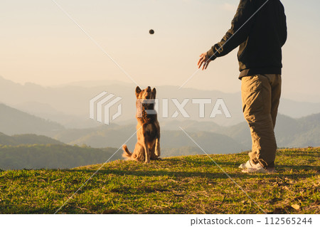 nature traveling with solo man play with dog and see sunrise with layer of mountain 112565244
