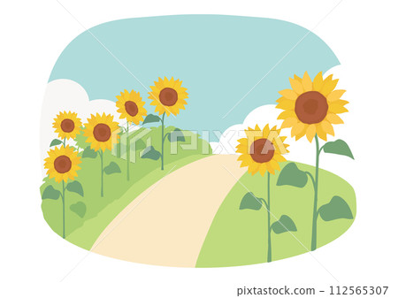 向日葵場圖 112565307