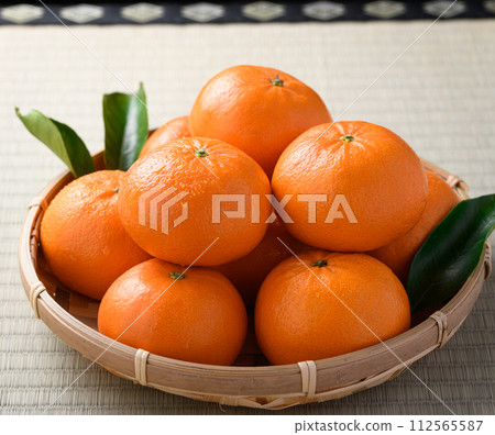 佐賀縣濱崎蜜柑（榻榻米包） 112565587