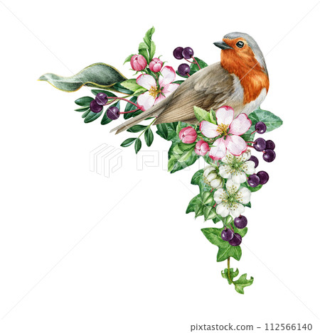 Vintage style spring decor of robin bird with flowers. Watercolor illustration. Hand drawn garden robin, spring flowers, elderberry, ivy leaves element. Springtime cozy decor isolated Vintage style spring decor of robin bird with flowers. Watercolor illustration. Hand drawn garden robin, spring flowers, elderberry, ivy leaves element. Springtime cozy decor isolated 112566140