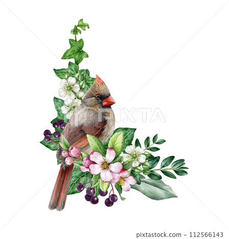 Vintage style spring time decor with garden bird and flowers. Watercolor illustration. Hand drawn red cardinal bird, garden flowers, berries, ivy, leaves element. Spring season painted cozy decor Vintage style spring time decor with garden bird and flowers. Watercolor illustration. Hand drawn red cardinal bird, garden flowers, berries, ivy, leaves element. Spring season painted cozy decor 112566143