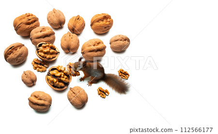 Healthy and delicious nuts, almonds, walnuts, cashews, macadamia beans, pistachios, chestnuts, pine nuts, peanuts, walnuts, mixed nuts, superfoods 112566177
