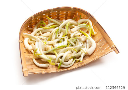 Hirokko，東北地區的蔬菜 112566329