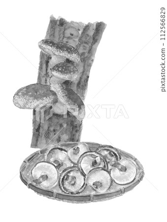 A set illustration of a watercolor-painted tree and shiitake mushrooms in a colander, white background, transparent background, copy space available 112566829