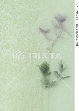 Collaboration of Japanese paper and wildflowers (background material) Collaboration of Japanese paper and wildflowers (background material) 112567175