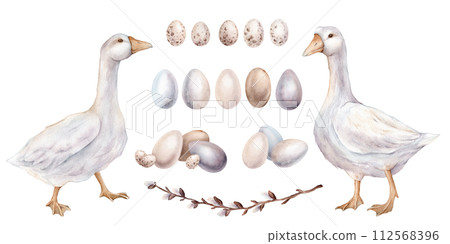 Set of chickens eggs and willow branches and goose. For Easter design. Watercolor hand drawn painting illustration isolated on a white background. Painted eggs minimalistic light pastel colors. Set of chickens eggs and willow branches and goose. For Easter design. Watercolor hand drawn painting illustration isolated on a white background. Painted eggs minimalistic light pastel colors. 112568396