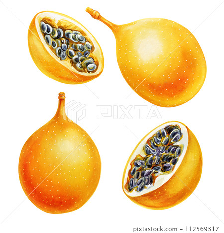 Passion fruit on isolated background watercolor botanical illustration hand drawing. Tropical clipart passiflora fruit 112569317