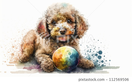 Toy poodle playing with a ball 112569506
