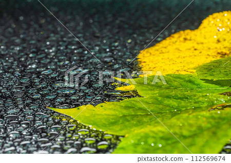 abstract background fall, glass drops autumn yellow leaves wet october weather 112569674