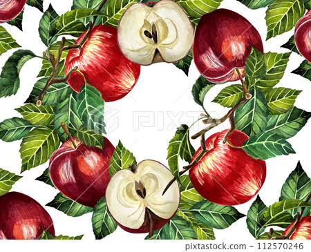 Watercolor apples frame botanical illustration. Card design with apple flowers and leaf. Watercolor botanical illustration isolated on white background. Watercolor apples frame botanical illustration. Card design with apple flowers and leaf. Watercolor botanical illustration isolated on white background. 112570246